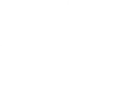 Goldberg’s Original Bagels
