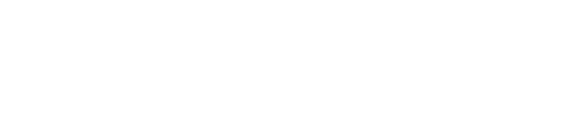 Site Vision Technical Works